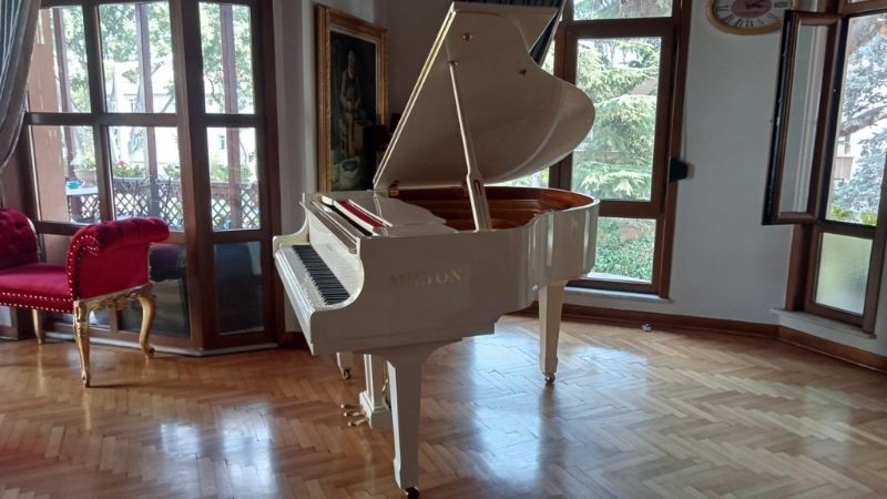 Sultangazi Kuyruklu Piyano Taşıma